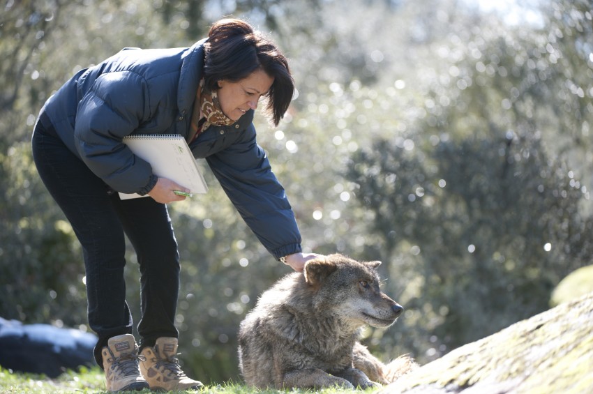 Cine Documental para todos los públicos