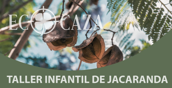 Taller Infantil de Jacaranda